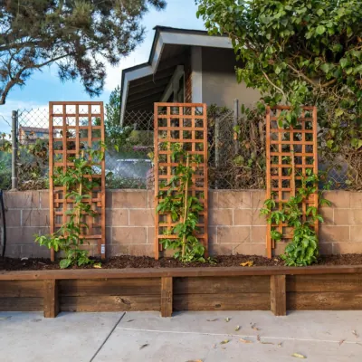 Decks, Gazebos & Pergola