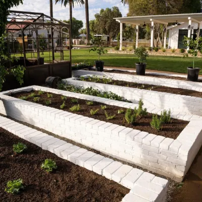 Landscape Design & Build