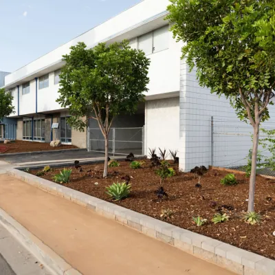 Landscape Design & Build