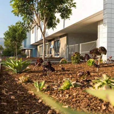 Landscape Design & Build