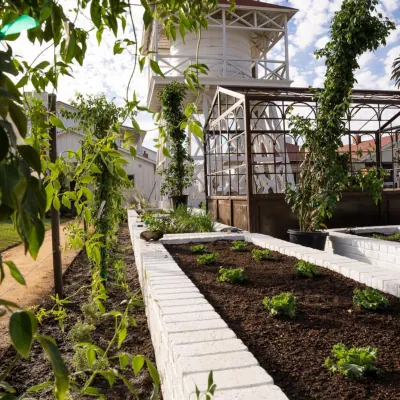 Landscape Design & Build