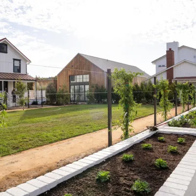 Landscape Design & Build