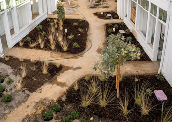 Landscape Design and Build